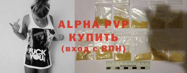 гашик Инта