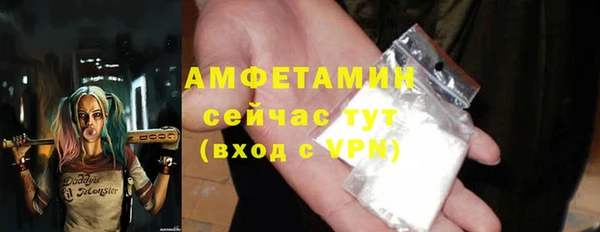 гашик Инта