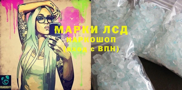 гашик Инта
